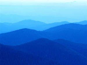 Bluehills.jpg